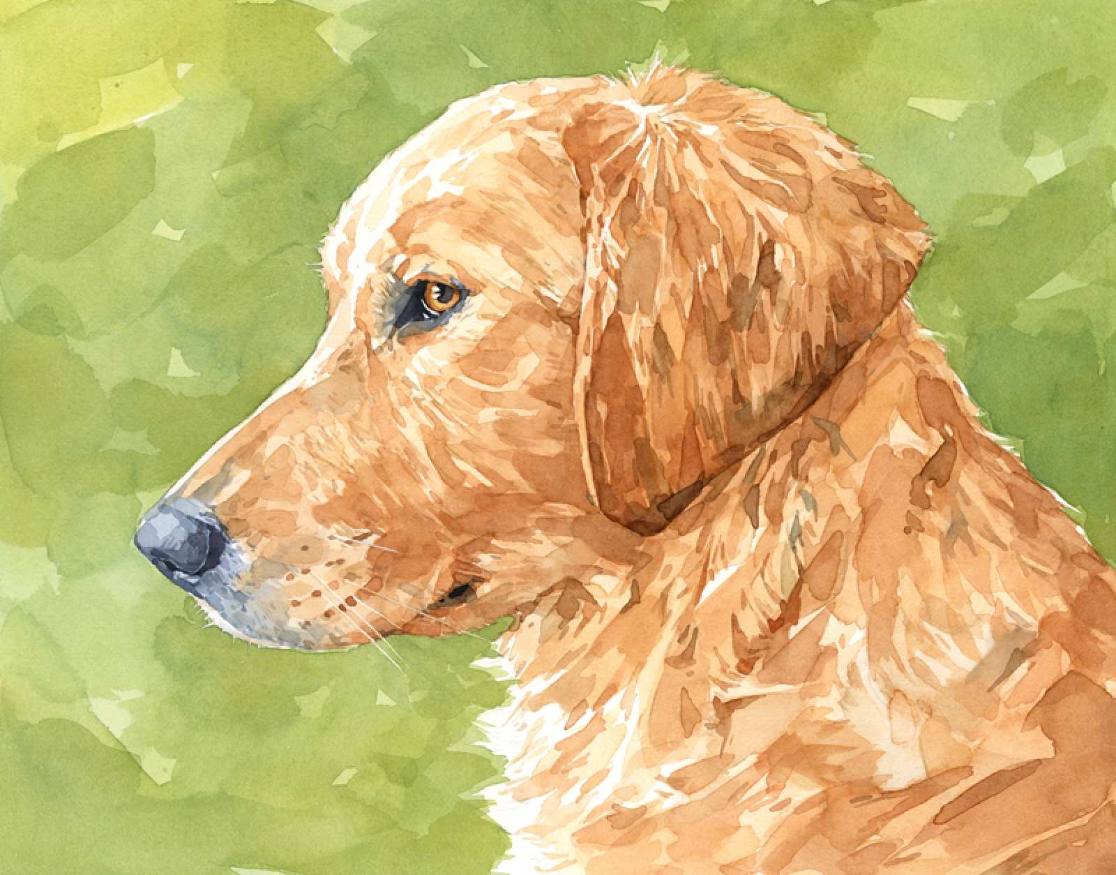 1600x1254 Puppy Painting New Golden Retriever Art Print Watercolor Limited