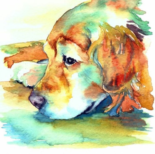 500x496 Retriever Watercolor Tumblr