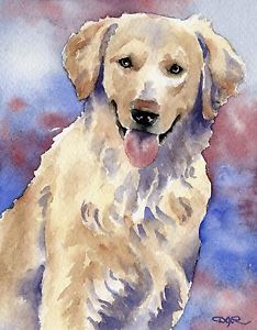 234x300 Golden Retriever Dog Watercolor 8 X 10 Art Print Signed By Artist
