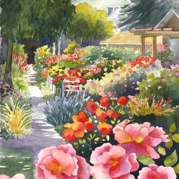 350x350 Daniel Smith Watercolors Watercolor Sticks Set Geostep