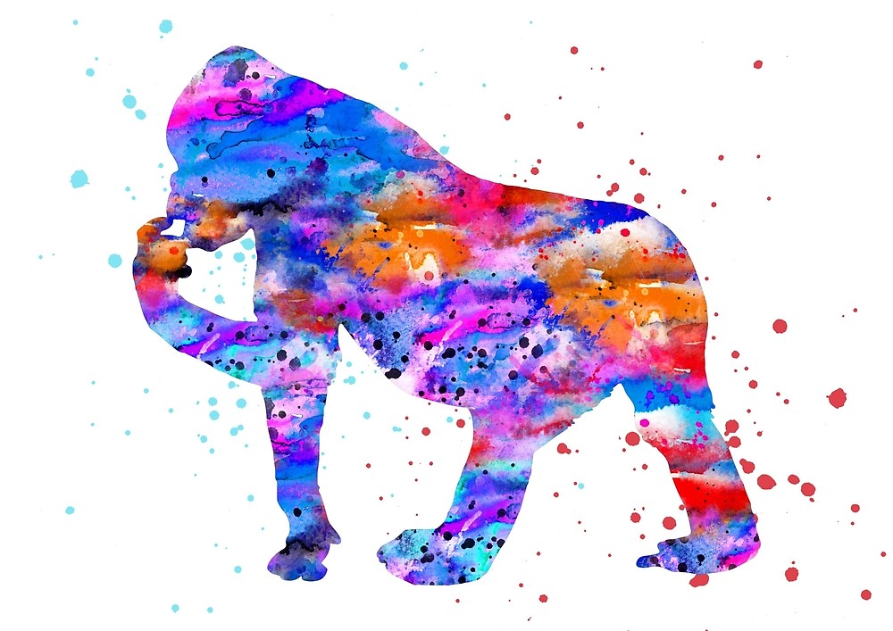 1000x707 Gorilla, Watercolor Gorilla By Rosaliartbook Redbubble