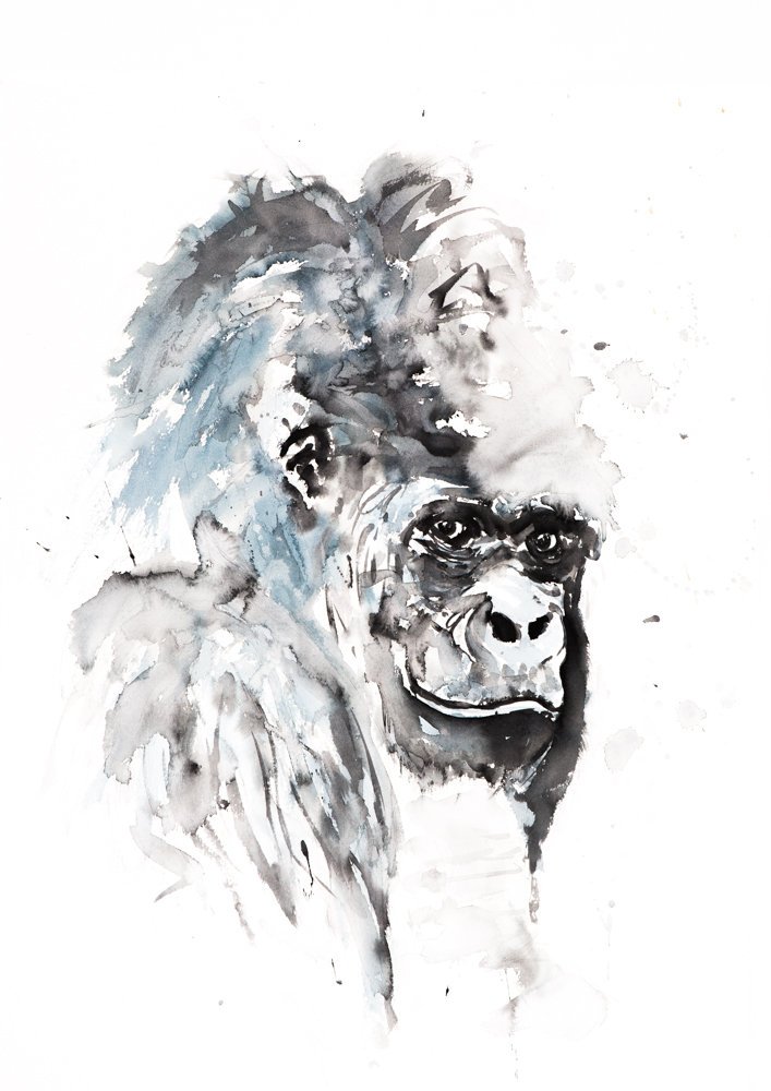 707x1000 Gorilla Watercolor Painting Watercolour