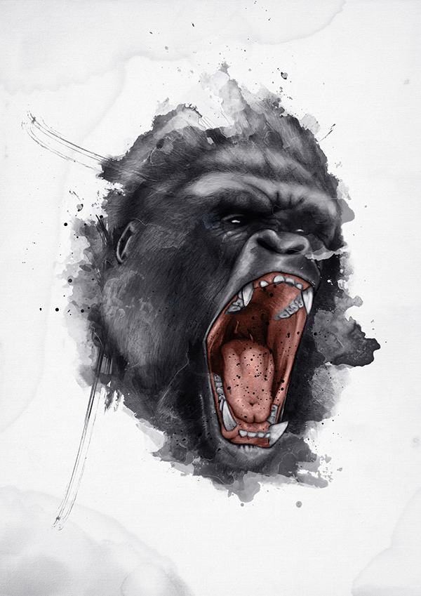 600x849 Gorilla On Behance