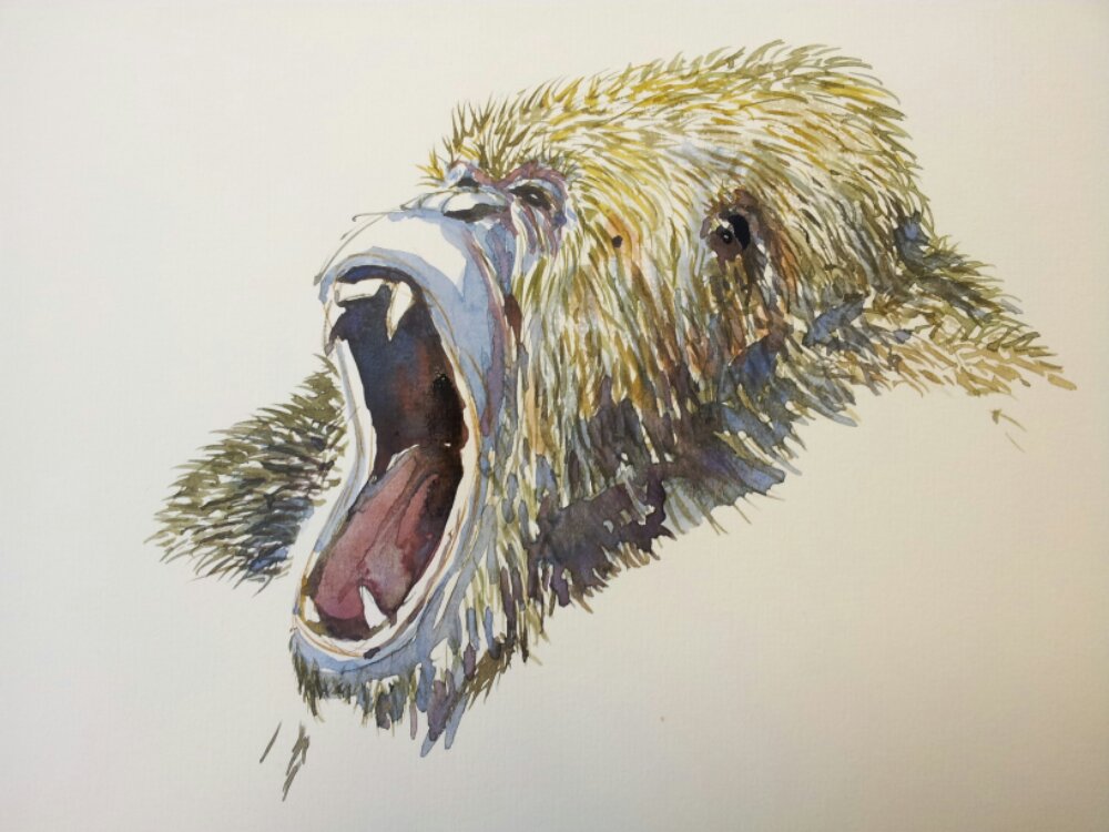 1000x750 Green Gorilla Watercolor Sketch The Hiking Artist Project By
