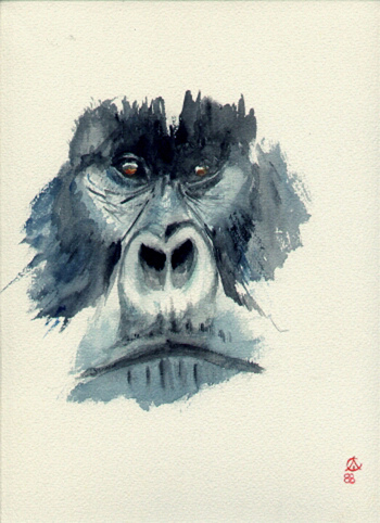 350x482 Silver Gorilla Face Watercolor Ramon Castellanos