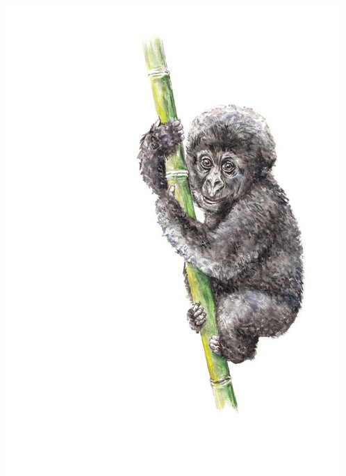 498x684 Baby Gorilla Limited Edition Print 8.5x11 Watercolor Jungle Painting
