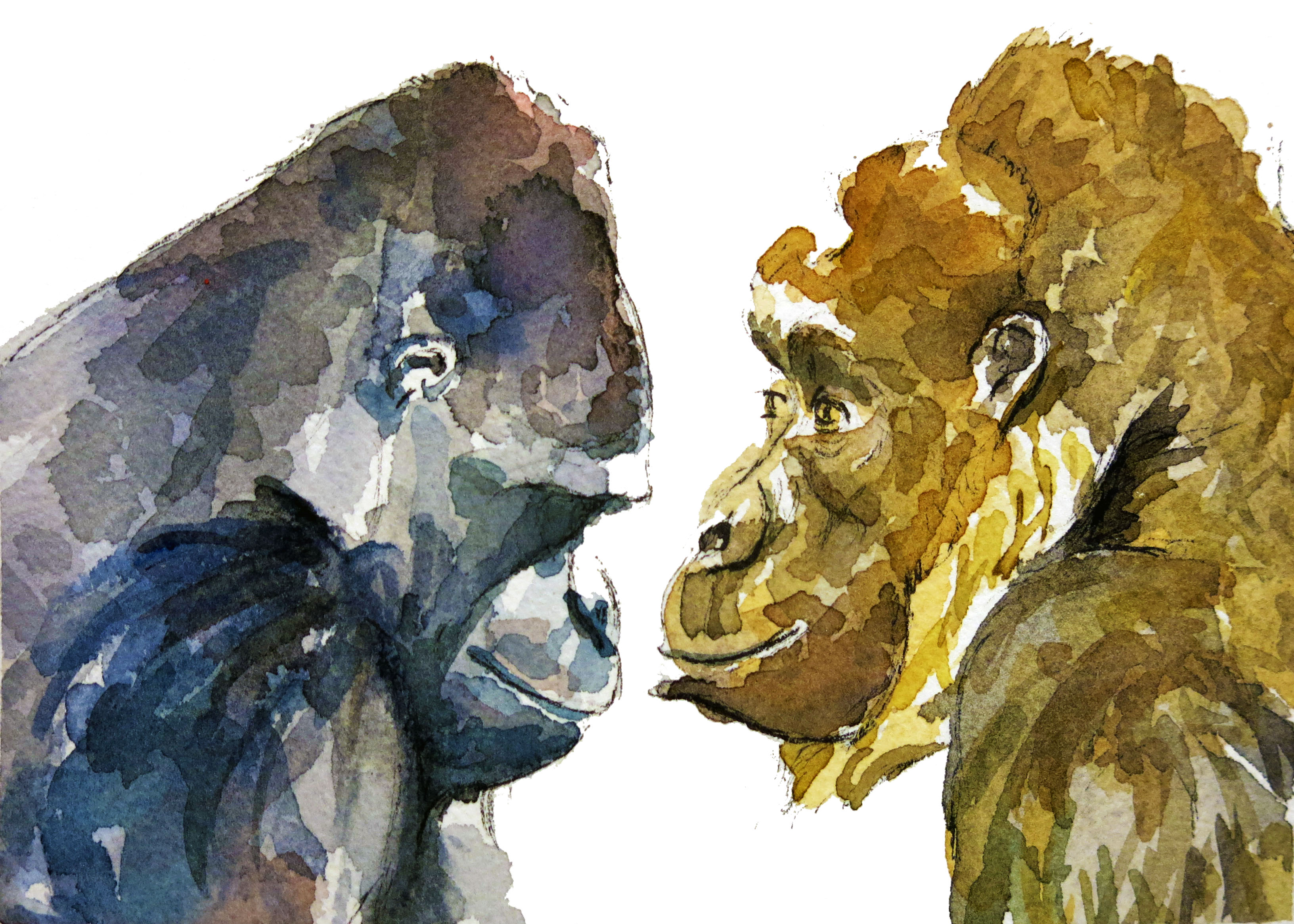 3264x2331 Feature Friday Gloria Ho Illustrations Castle Foundations