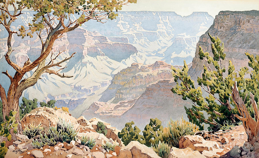 900x549 Grand Canyon Painting By Gunnar Widforss