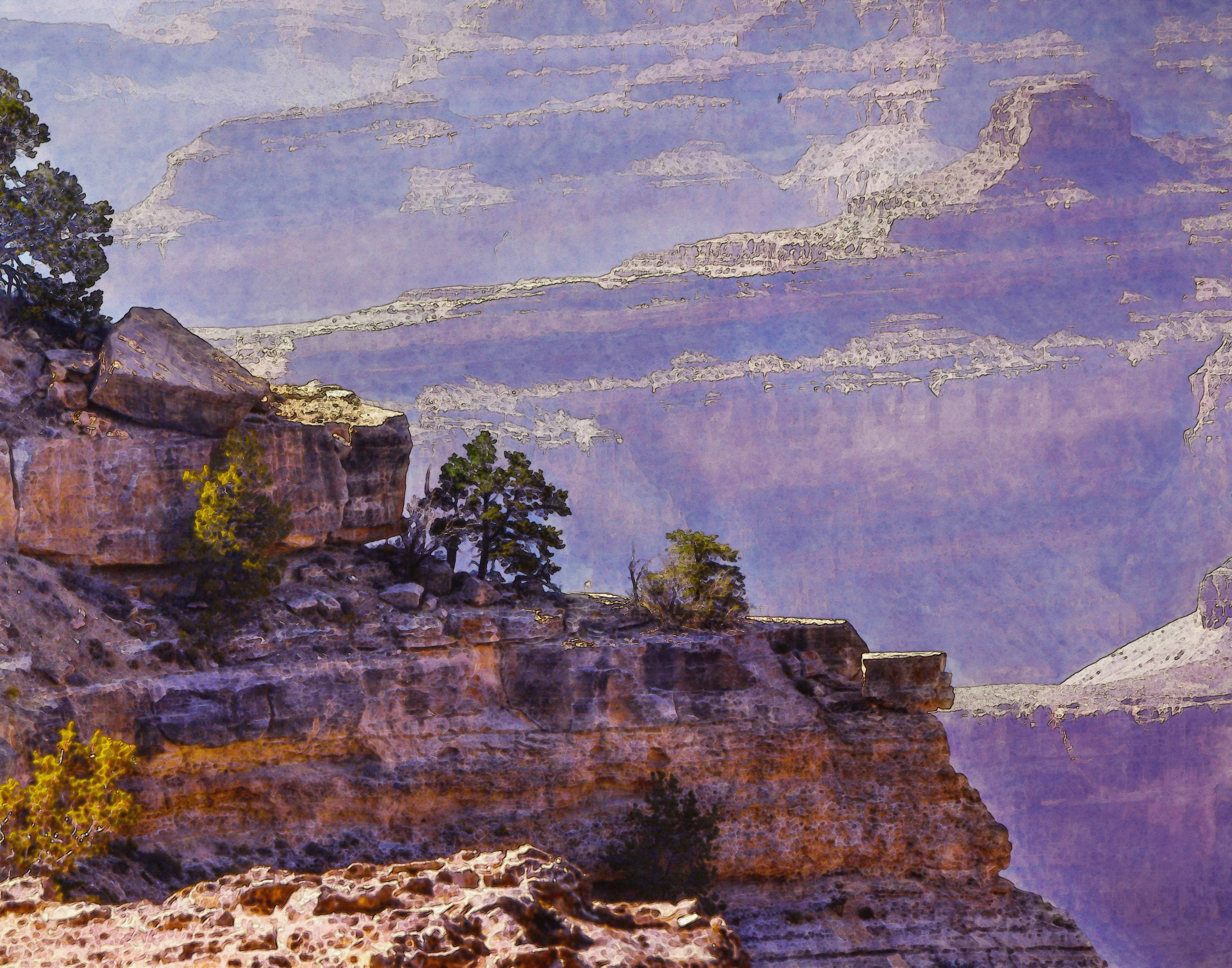 8400x6600 Grand Canyon Tree Sentry