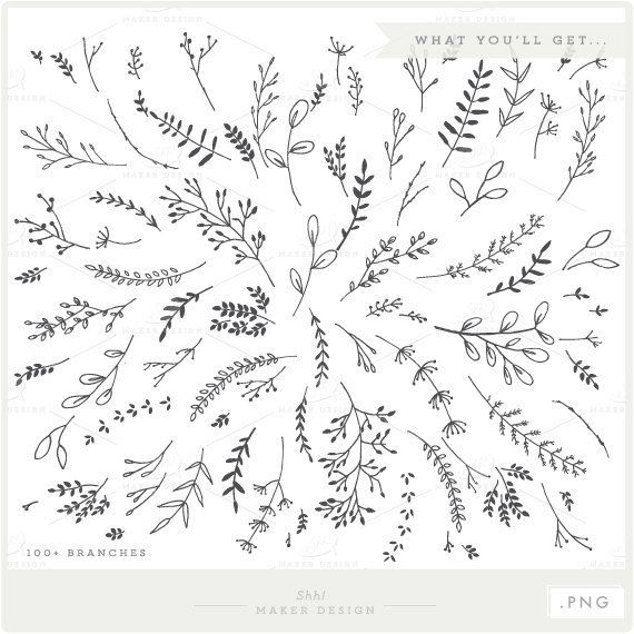 570x570 Laurel Clipart Grapevine Wreath ~ Frames ~ Illustrations ~ Hd