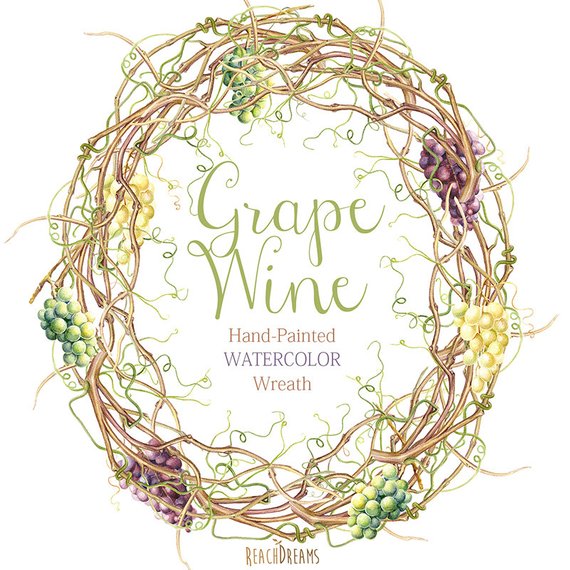 570x570 Watercolor Grapes Vine Wreath Diy Png Invite Wedding Etsy