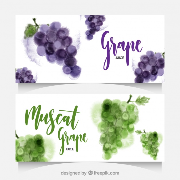 626x626 Watercolor Banners Of Grapes Vector Free Download