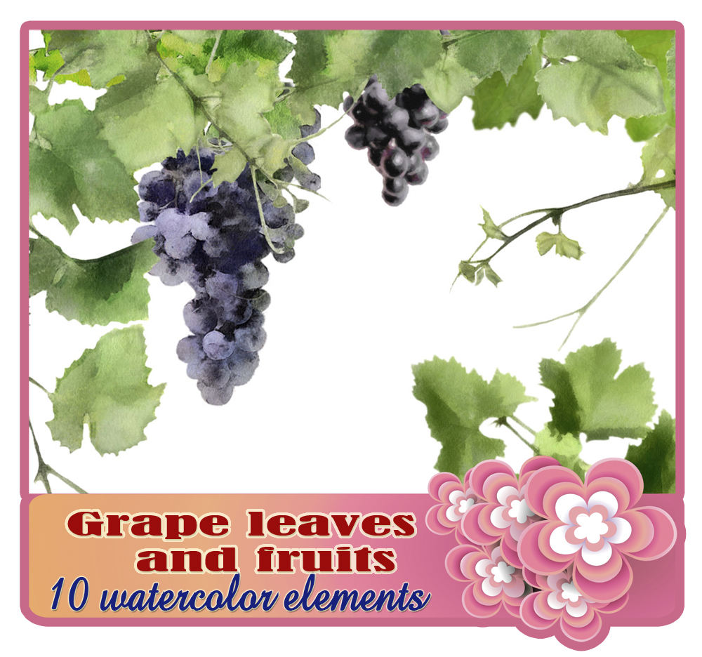 1000x936 Watercolor Clipart Vine