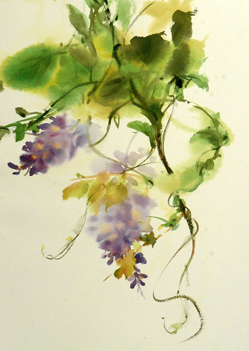 498x700 Watercolor Floras