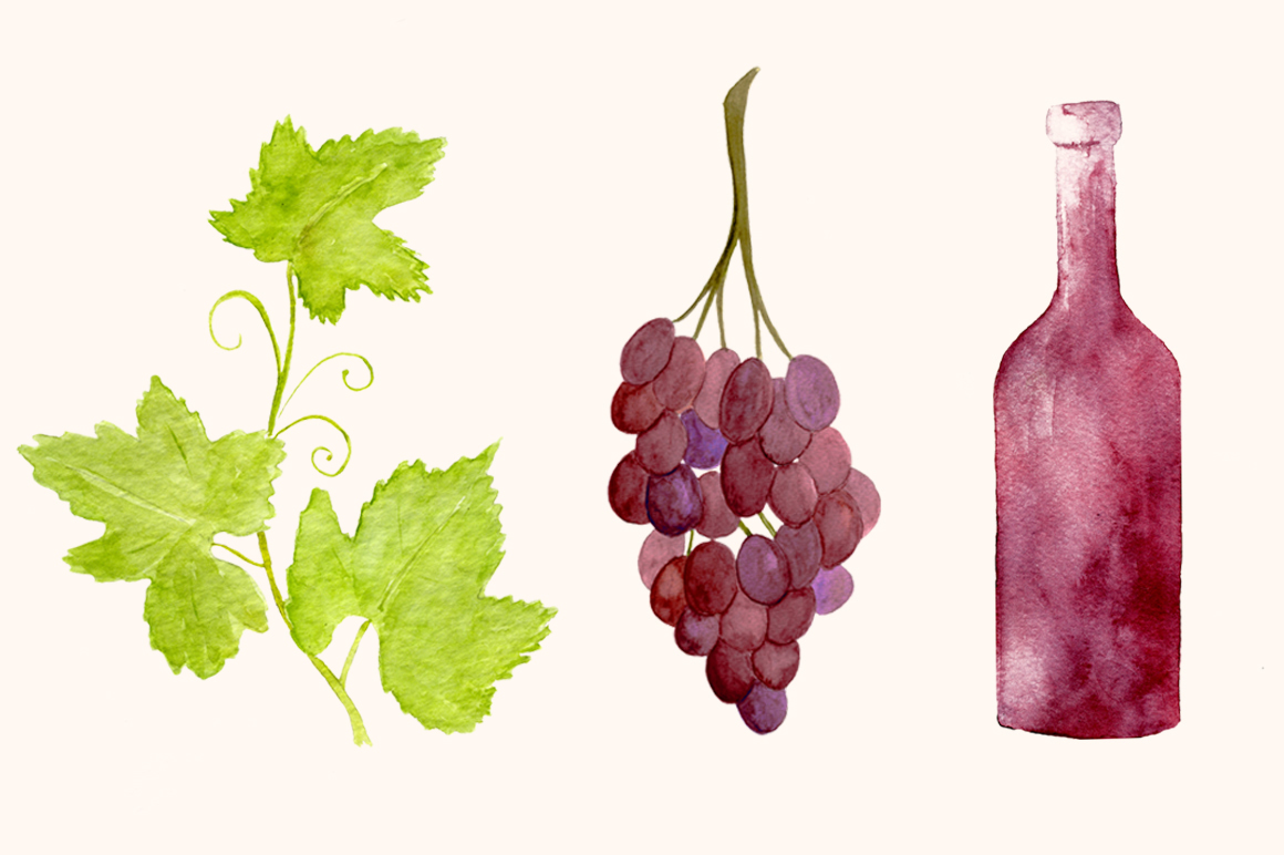 1160x772 Wine Watercolor Elements + Bonus! By Teresa