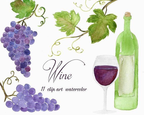 570x456 Buy 3 For 9 Usd Handpainted Watercolor Clip Art Wine Grape Etsy