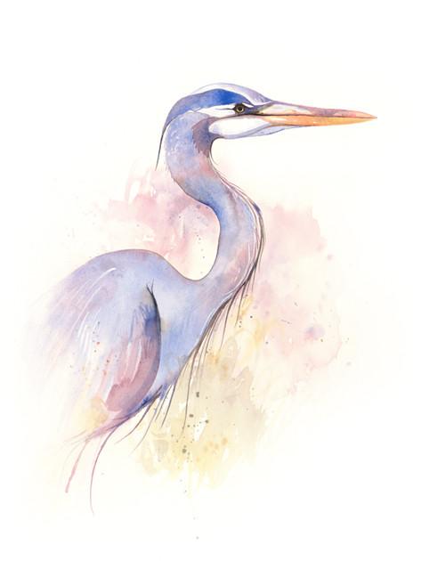 473x630 Great Blue Heron Print Ashley Prejoles Art