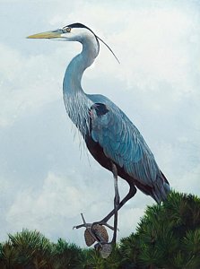 223x300 Great Blue Heron Painting By Marsha Friedman