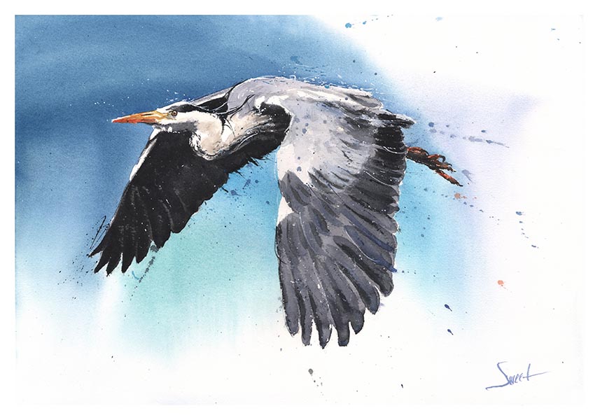 857x600 Blue Heron Watercolor Print Watercolor Animal Paintings