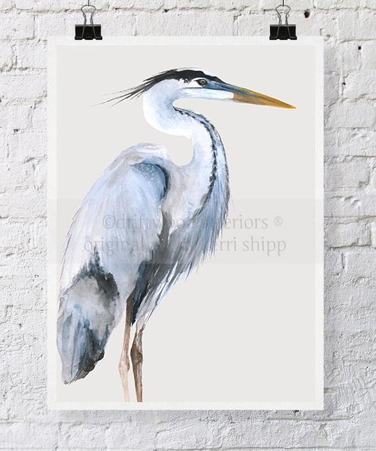 539x646 Great Blue Heron Watercolour Wall Art Print By Kerri Shipp