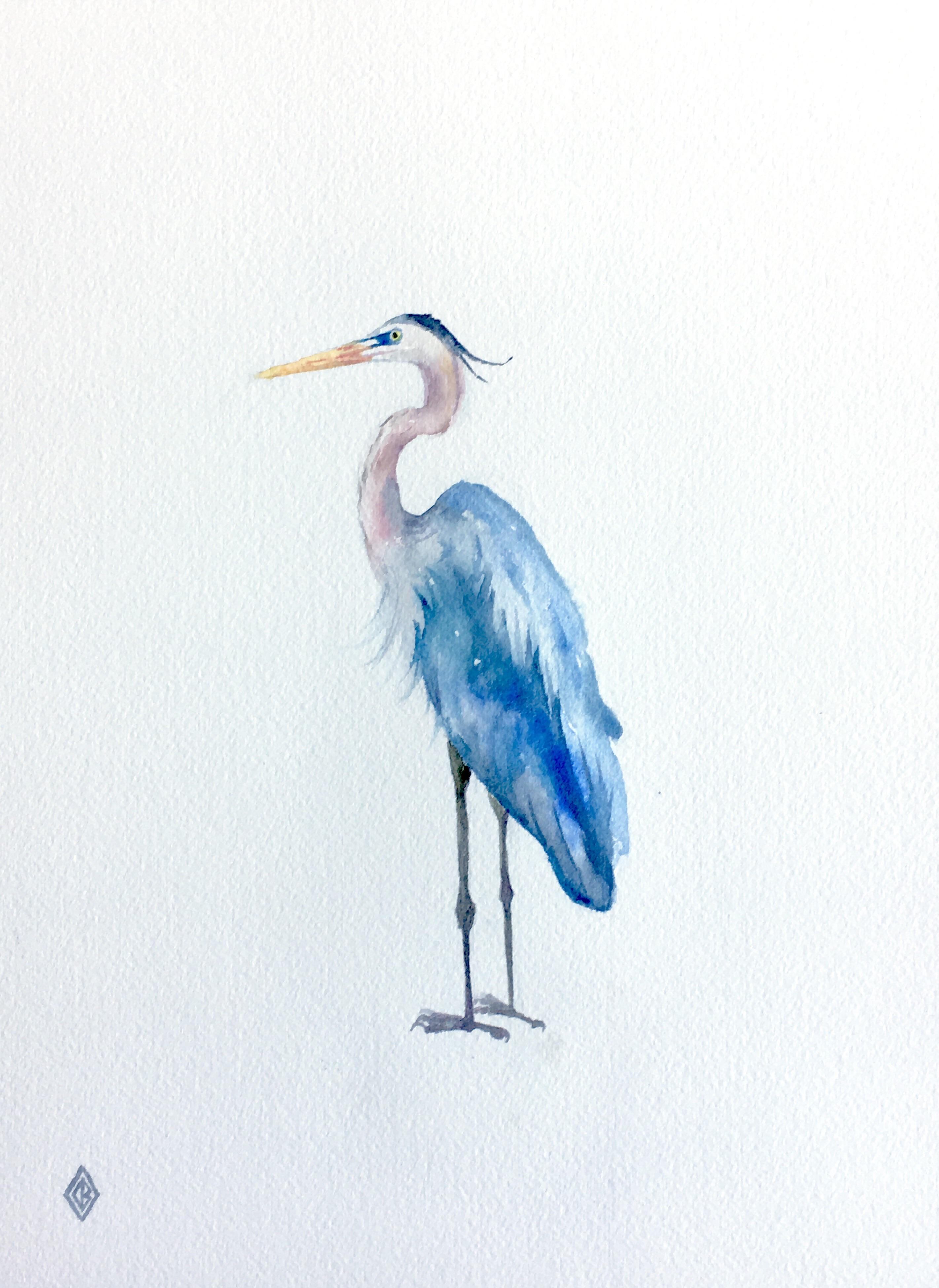 2843x3901 Great Blue Heron, Watercolor, 9 By 12 Inches Art
