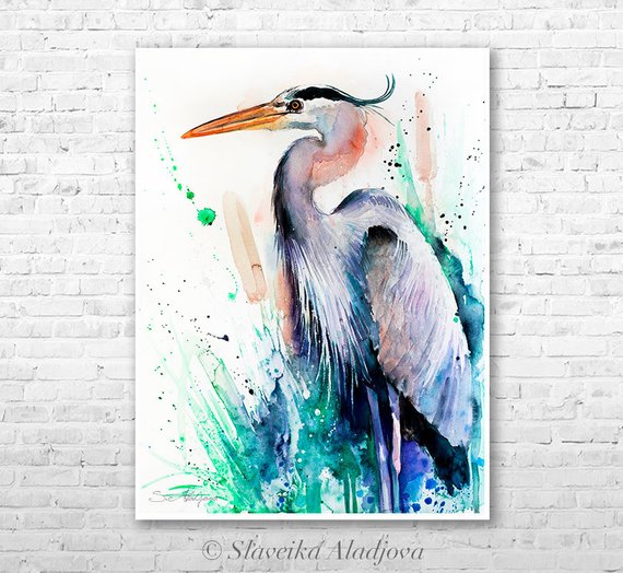 570x524 Great Blue Heron Watercolor Painting Print By Slaveika