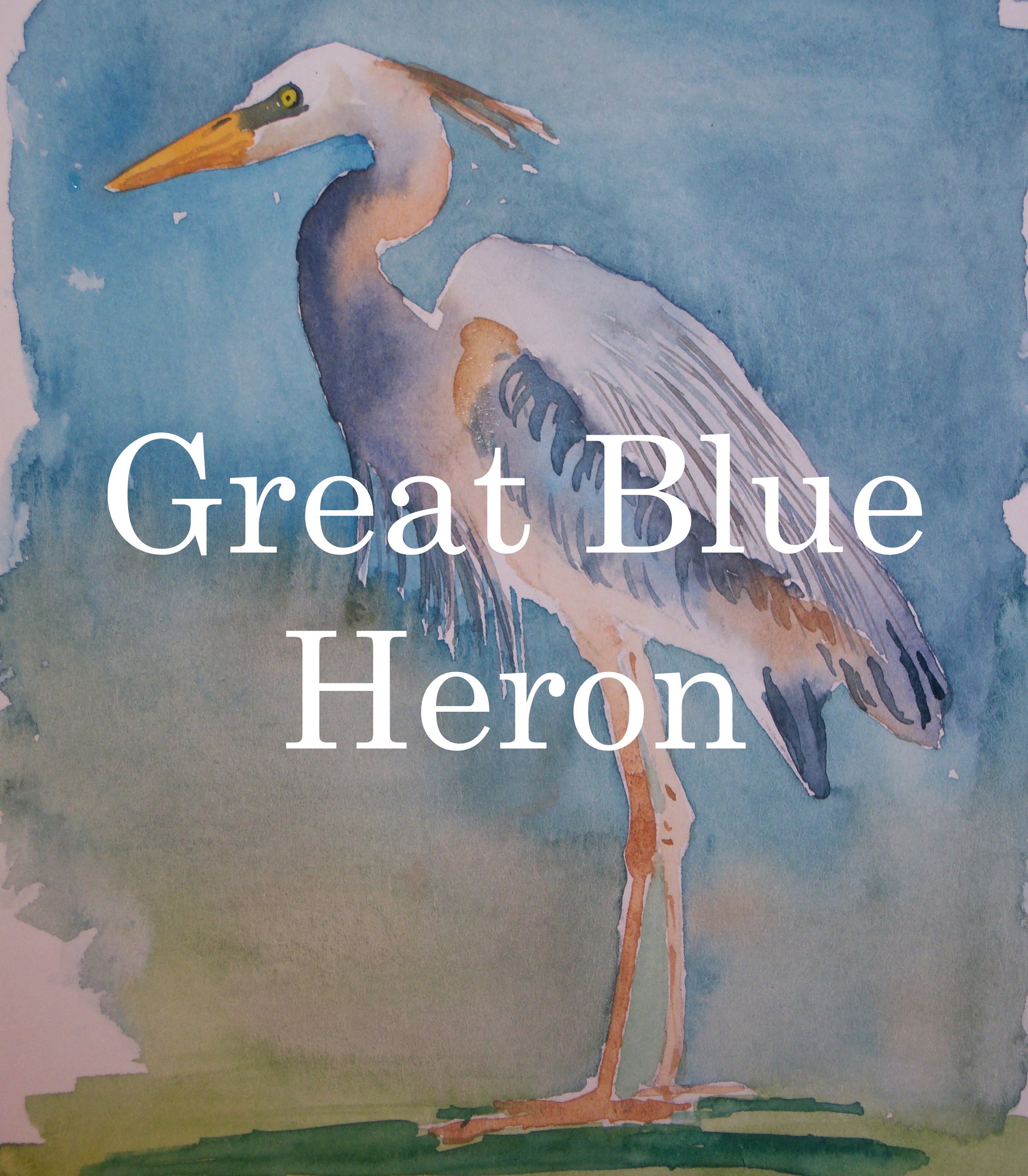2412x2758 How To Paint A Bird In Watercolour Watercolor Great Blue Heron
