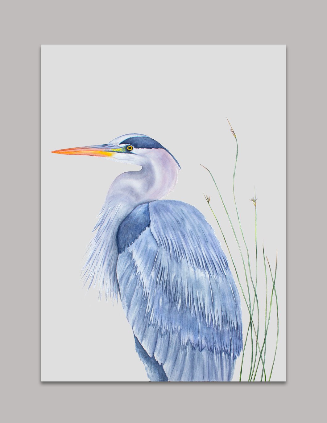 1060x1372 Watercolor Great Blue Heron Art Print Laura Ashton Illustration