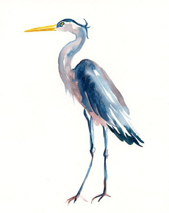 570x718 Great Blue Heron By Dimdi Original Watercolor Painting