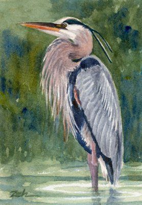 278x400 Great Blue Heron