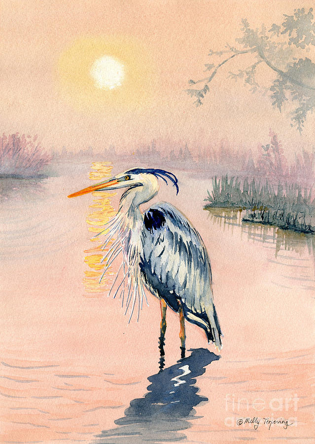 639x900 Great Blue Heron At Sunset Painting By Melly Terpening