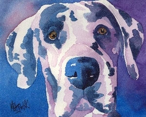 300x240 Great Dane Harlequin Watercolor Portrait 051205