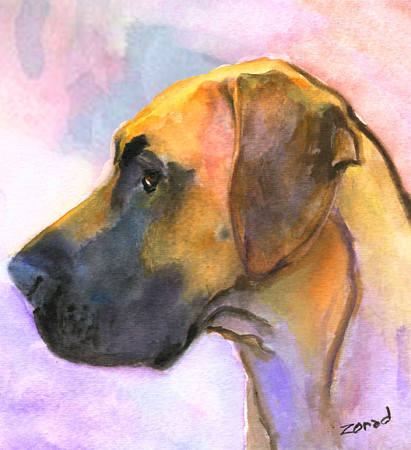 600x657 Great Dane Painting By Mary Jo Zorad