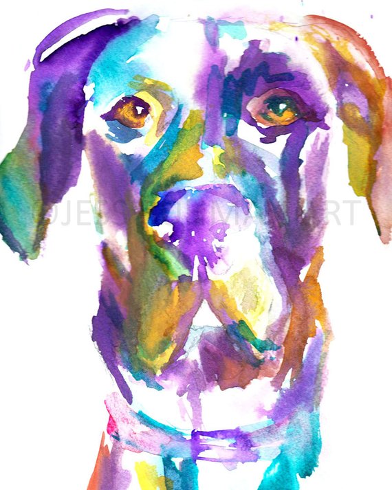 570x713 Great Dane Watercolor Painting Print Dog Painting Dog Etsy