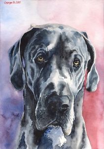 211x300 Great Dane Watercolor Print Of The Original Watercolor Painting