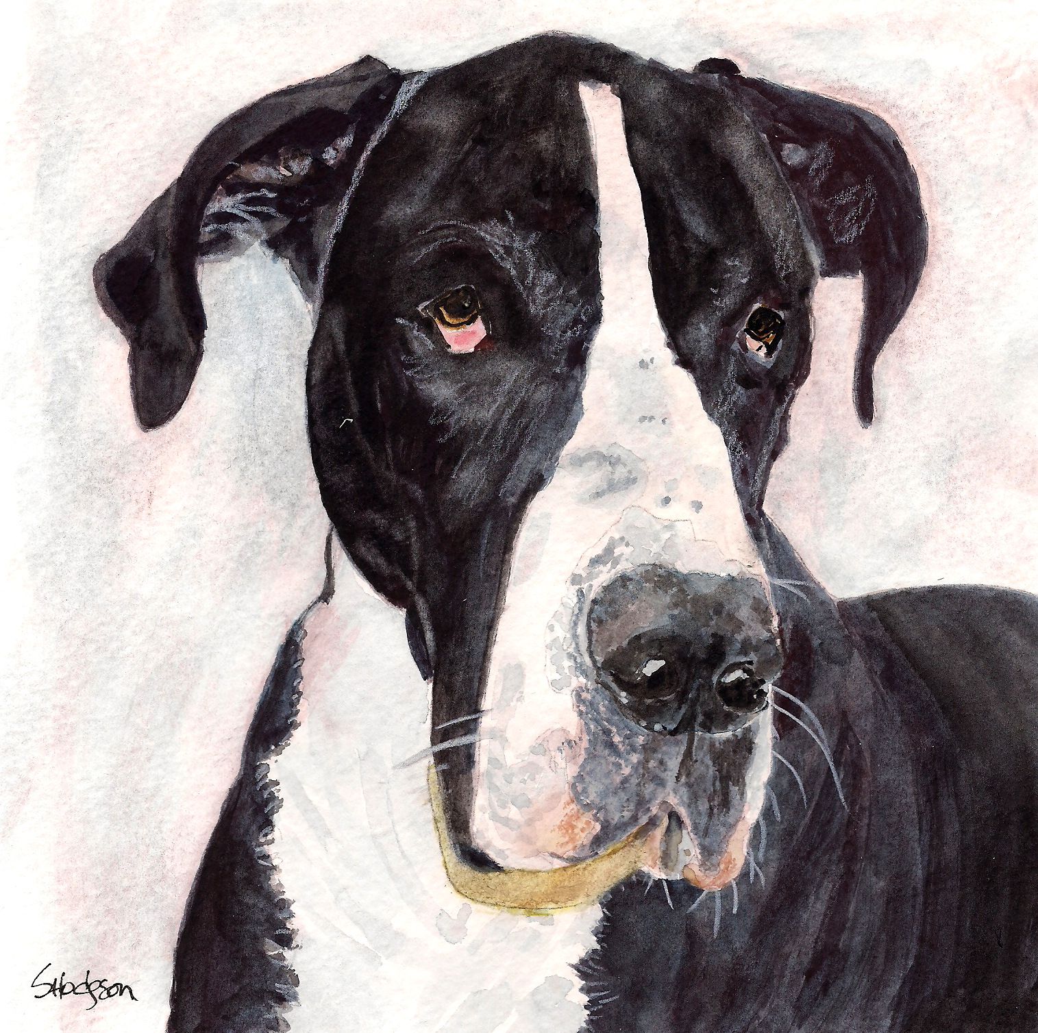 1515x1508 Great Dane Watercolor By Shannon Lea Hodgson Animal Art Dogs