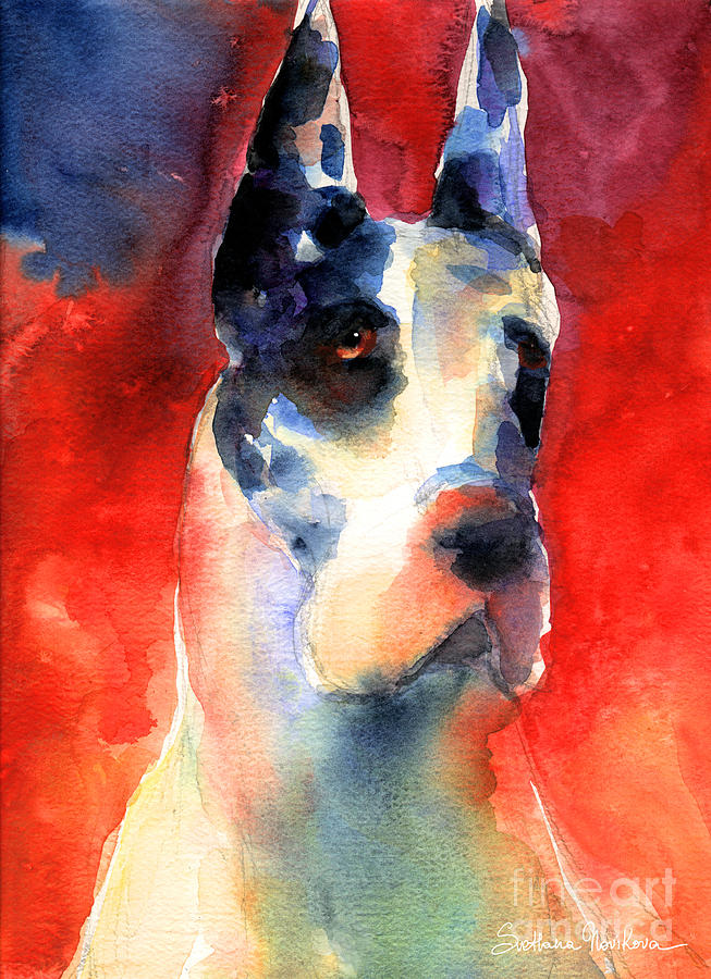 653x900 Harlequin Great Dane Watercolor Painting Painting By Svetlana Novikova
