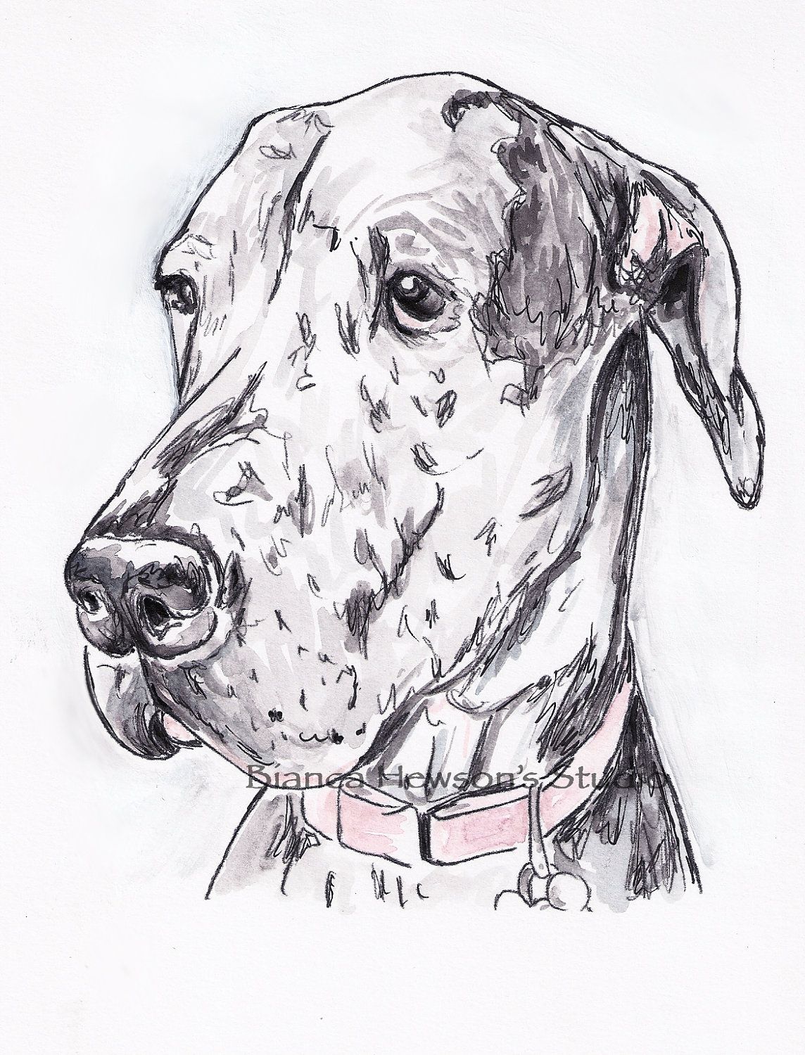 1144x1500 Noble Great Dane Dog, Merle, Watercolor And Ink Original Art
