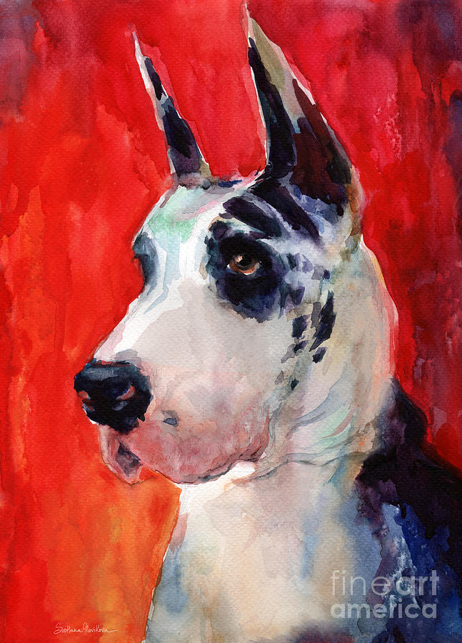 647x900 Watercolor Harlequin Great Dane Dog Portrait 2 Painting By