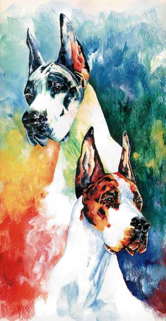 337x650 Fire And Ice Great Dane By Kathleen Sepulveda