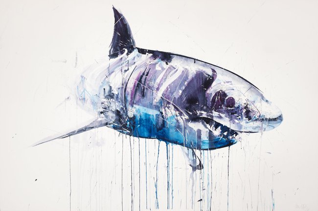 650x431 Great White Shark Ii By Dave White Limited Edition Prints Hang