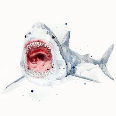 236x236 Great White Shark Watercolor Painting By Tara Tominaga. Look