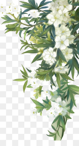 260x480 Flower Png Amp Flower Transparent Clipart Free Download