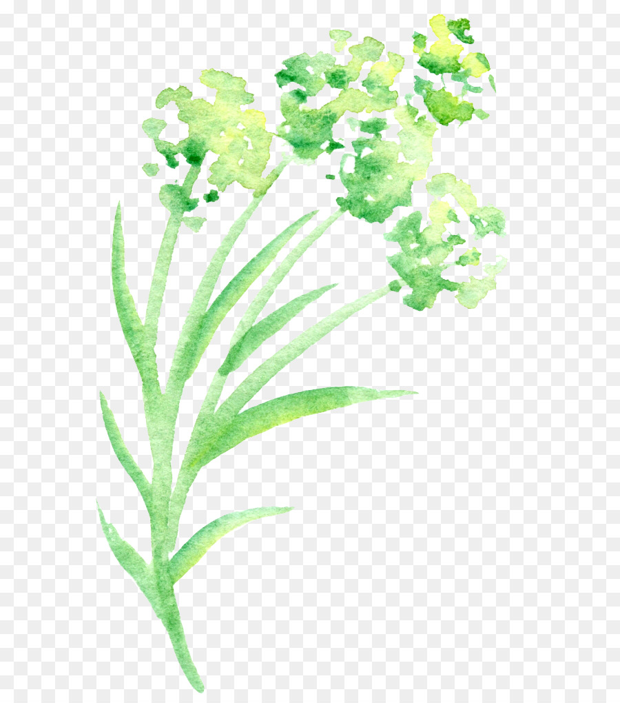 900x1020 Green Petal Watercolor Painting Flower