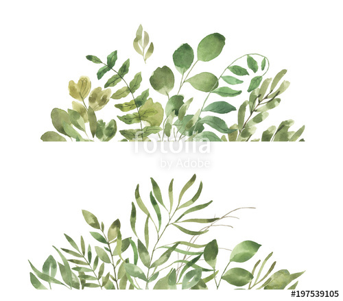 500x439 Leafy Leaf. Green Watercolor Flowers And Florals Border Stock