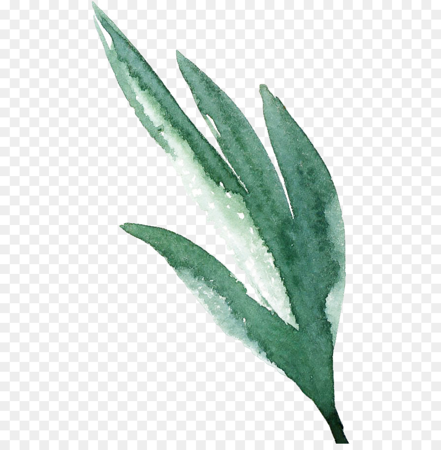 900x920 Watercolor Painting Watercolor Flowers