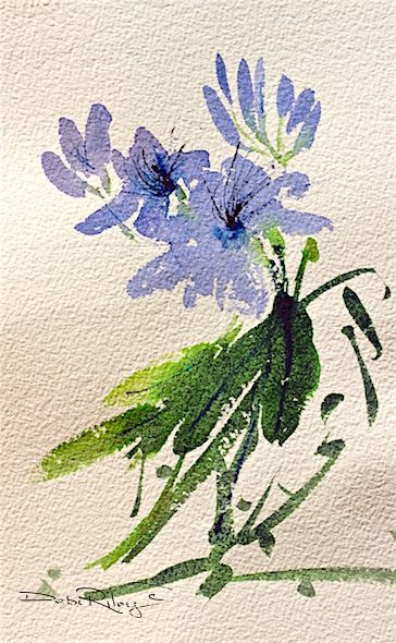 364x590 Easy Watercolor Flowers Debi Riley