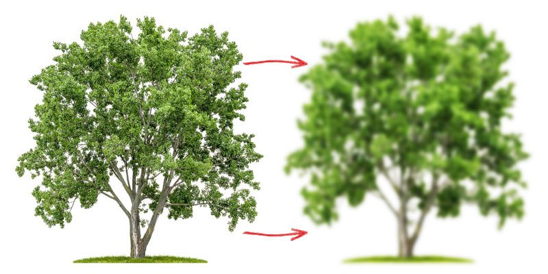 800x400 How To Paint Trees With Watercolor