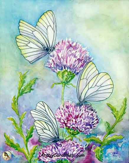 437x550 Painting Butterflies In Watercolor