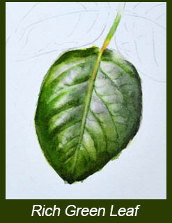 247x320 Painting Realistic Leaves And Mixing Greens